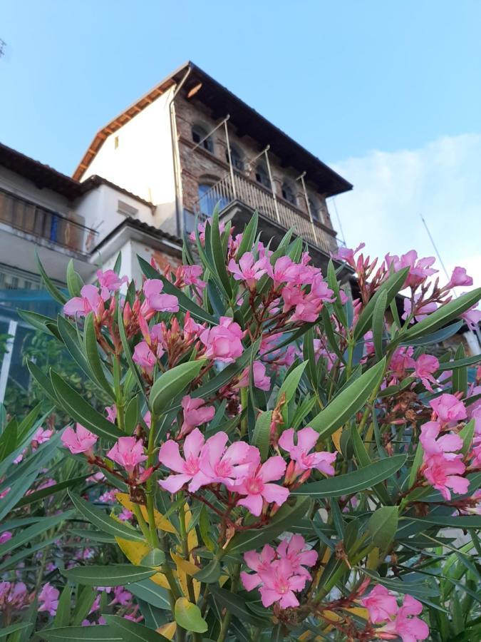 Le Case Di Angelina - Langhe Loft & Suites Farigliano Exterior photo